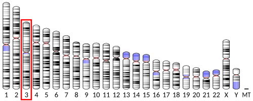 Octreotide (Sandostatin): The Somatostatin Analog That Tames Tumors